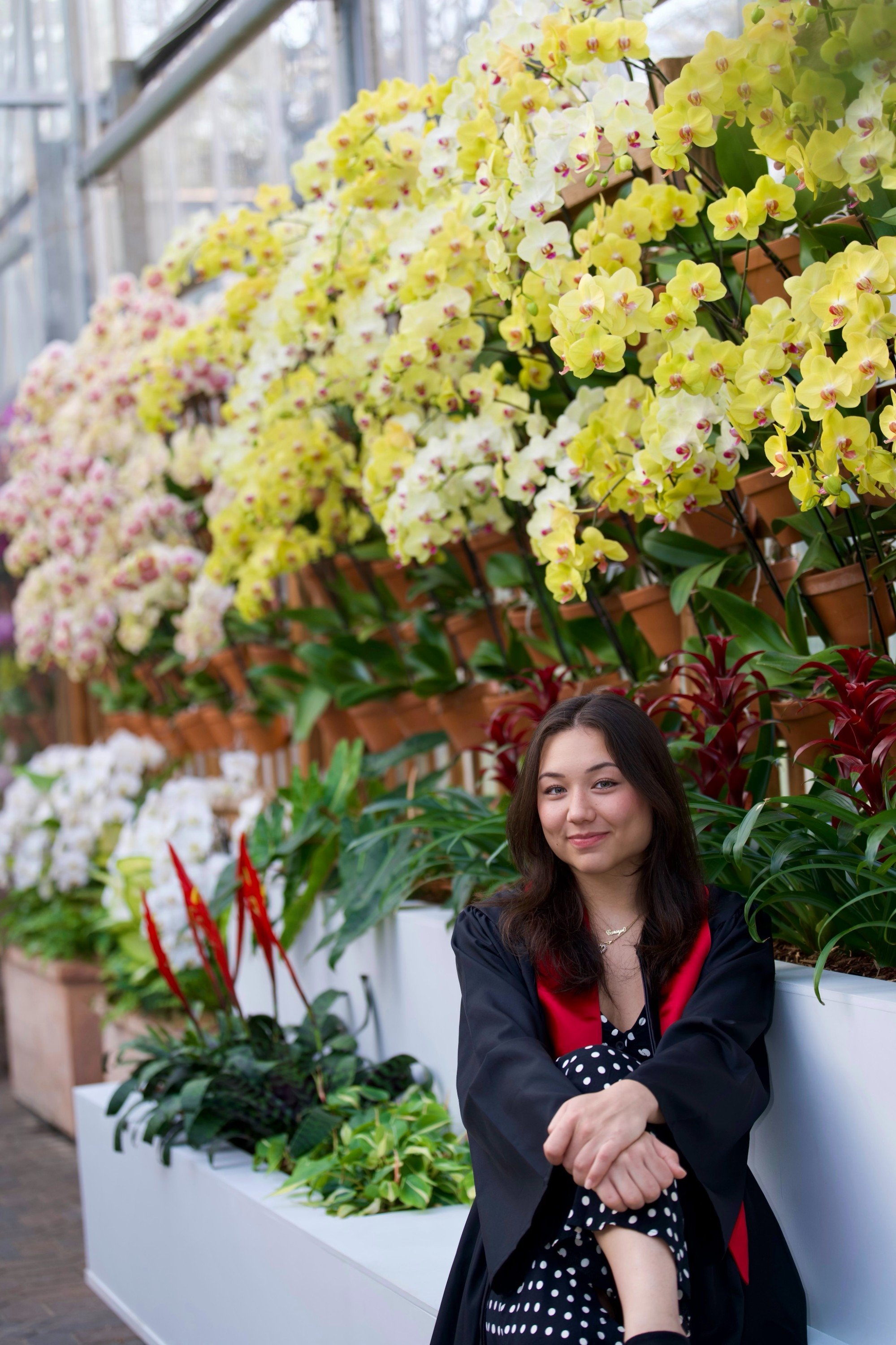 carousel-hero-element image-2